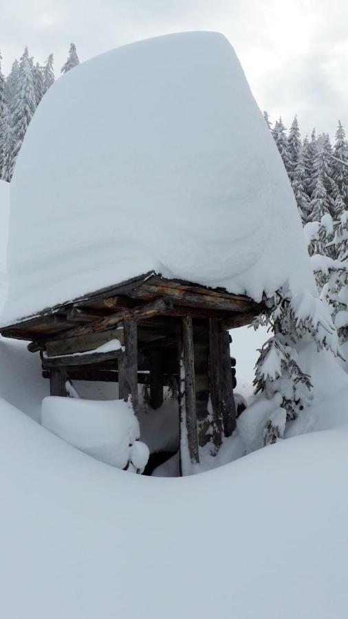 Haus Hoellwart Sankt Johann im Pongau Bagian luar foto